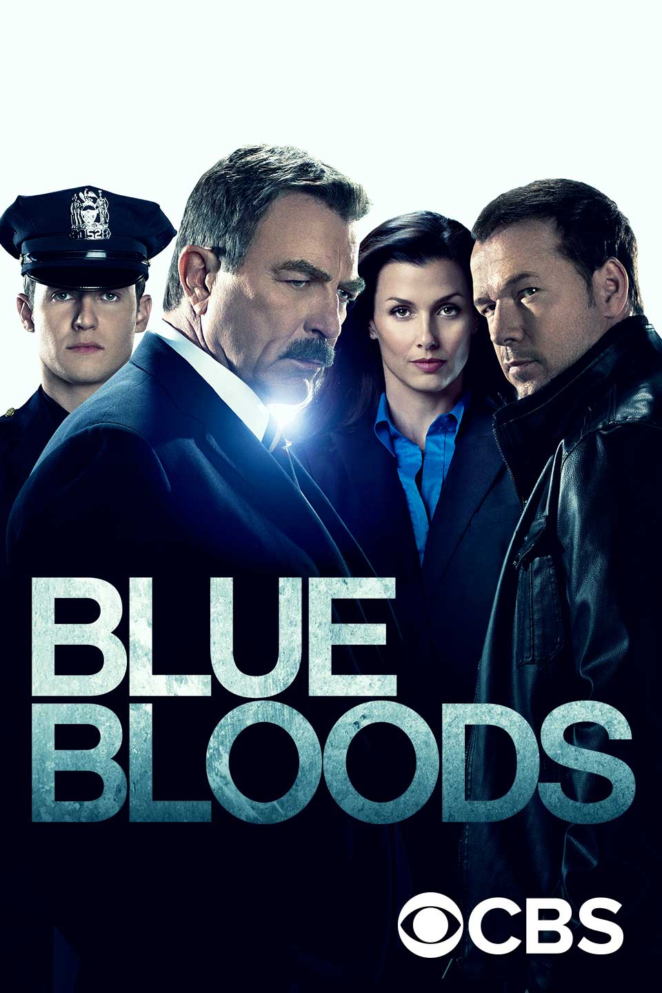 Blue Bloods (2010 - 2024 TV Series)