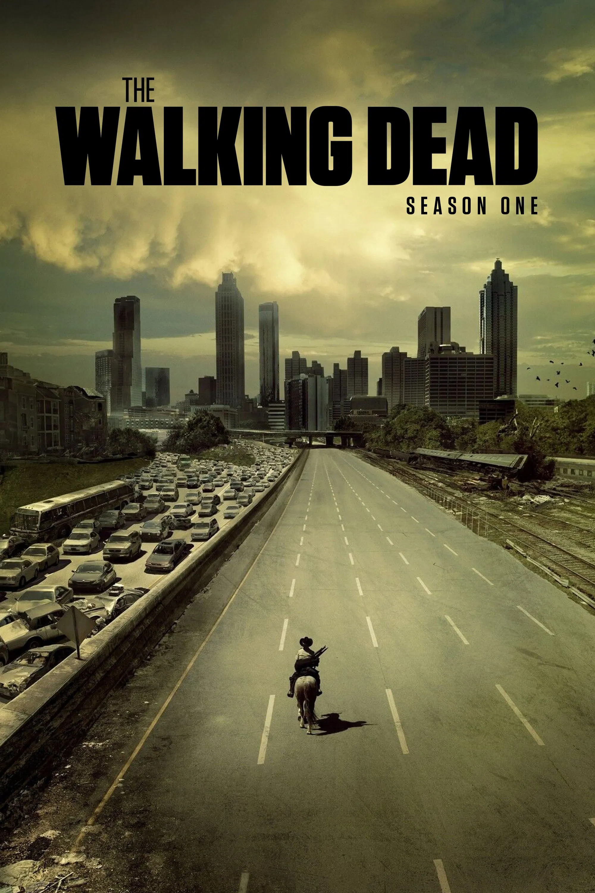 The Walking Dead (2010 - 2022 TV Series)