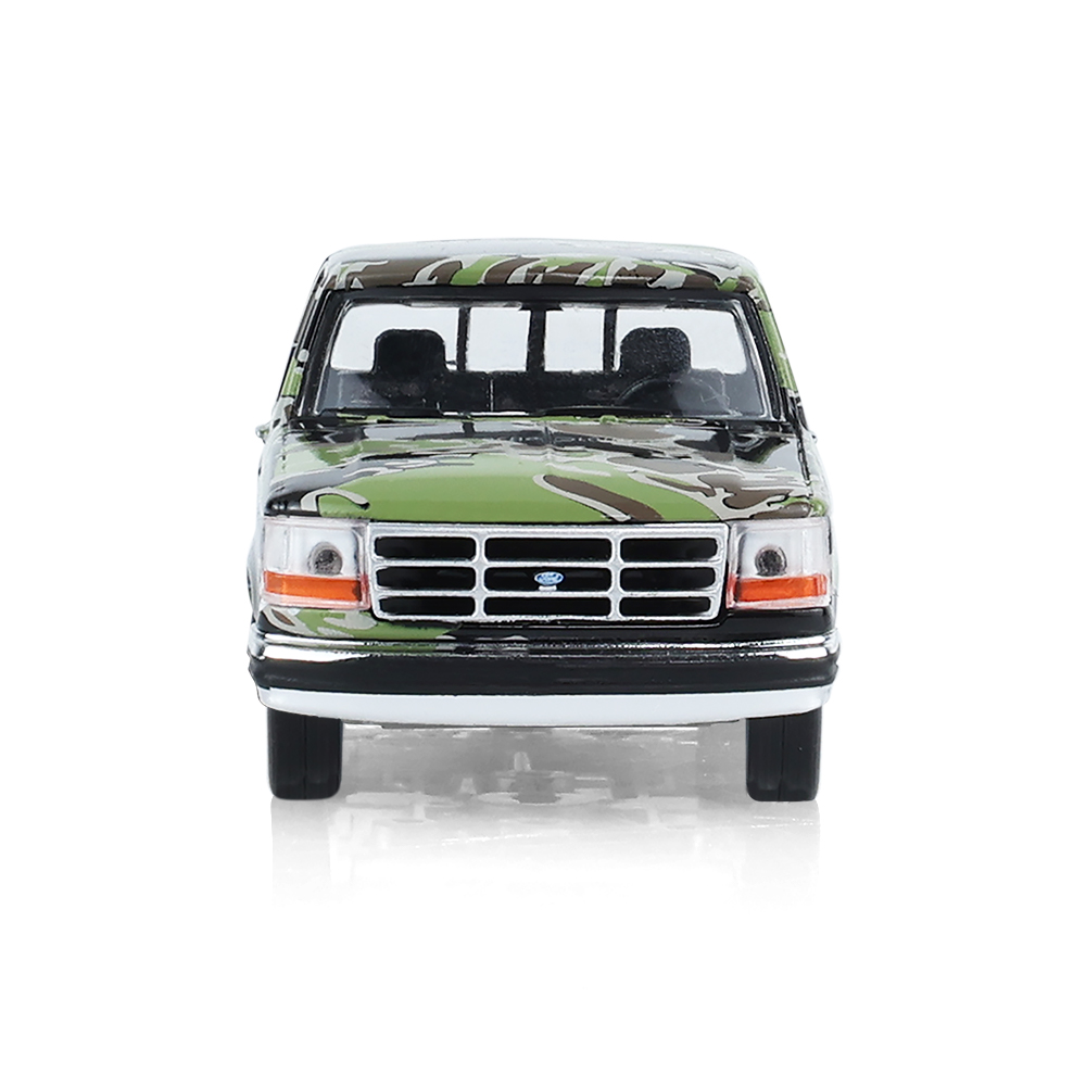 1993 Ford F-150 - Tigerstripe Camouflage